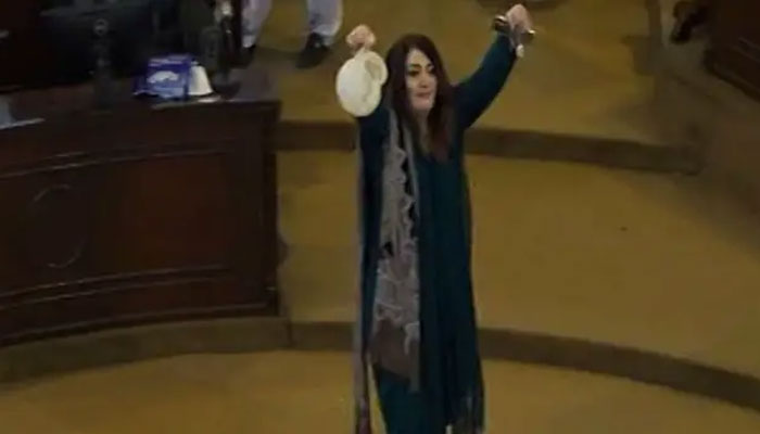 Pakistan Muslim League Nawaz (PML-N) female lawmaker Sobia Shahid in KP Assembly. — Geo.Tv/File