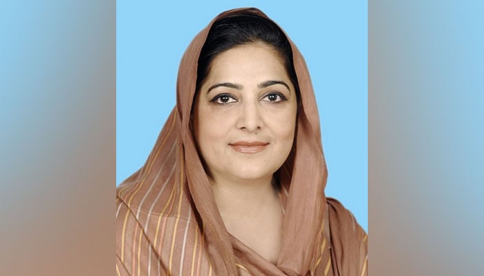 Former federal minister and PMLN stalwart Senator Anusha Rehman Ahmad Khan seen in this image. — National Assembly of Pakistan Website/File