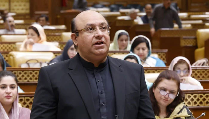 Punjab Finance Minister Mujtaba Shuja-ur-Rehman speaks during the Punjab Assembly session on April 24, 2024. — Facebook/Mujtaba Shuja Ur Rahman