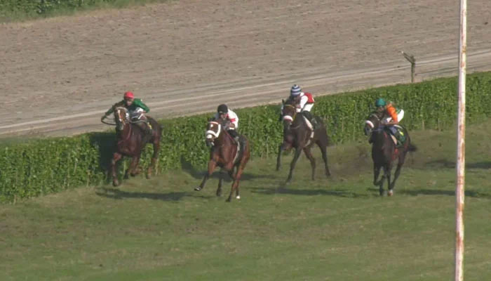 A representational image showing participants during a horse race in Lahore. — Screengrab/YouTube/Pakistan Horse Racing/File