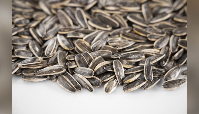 This representational image shows the Sunflower seeds. — Unsplash/File