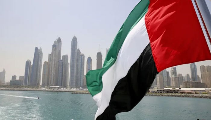 The UAE flag flies over a boat at Dubai Marina, Dubai. — Reuters/File