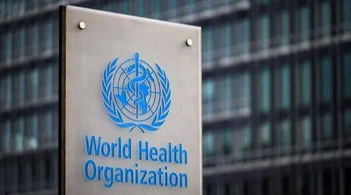 WHO updates list of drug-resistant bacteria most threatening to human ...