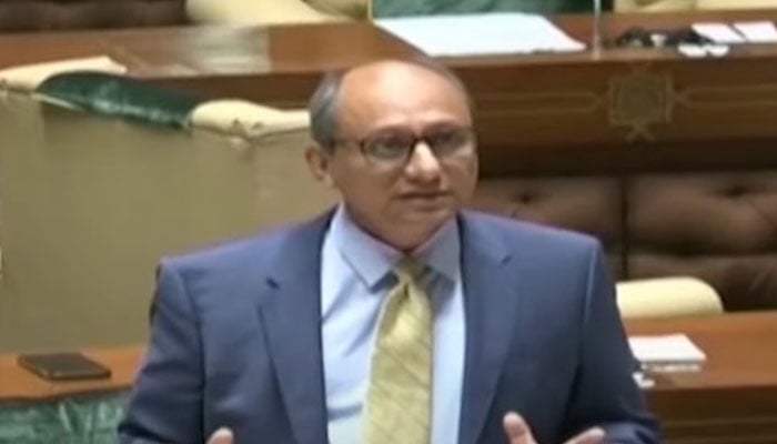Sindh Local Government Minister Saeed Ghani speaks during a Sindh Assembly session on May 21, 2024. — Screengrab/Geo News