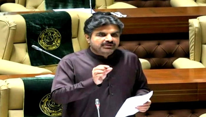 Sindh Energy Minister Nasir Shah speaks during a Sindh Assembly session on May 22, 2024. — Facebook/Syed Nasir Hussain Shah
