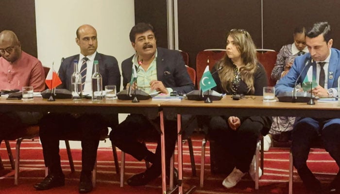 Syed Sardar Ali Shah, Sindh minister for education Sindh speaks during the High-level Ministerial Dialogue organised by the Islamic Countries Educational, Scientific and Cultural Organization (ICESCO) in London on May 23, 2024. — Facebook/Sindh Government