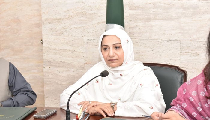 Former federal minister and chairperson of District Development Coordination Committee Saira Afzal Tarar gestures during a meeting on April 20, 2024. — Facebook/Saira Afzal Tarar