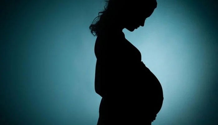 A representational image of a silhouette of a pregnant woman. — AFP/File