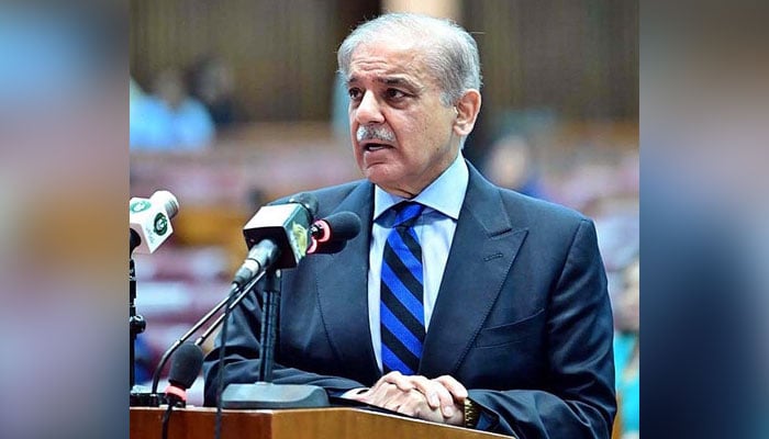 In this image Prime Minister Shehbaz Sharif addresses a National Assembly session. — APP/File