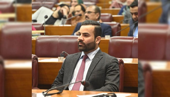 Government spokesman on legal affairs, Barrister Aqeel Malik seen in the National Assembly in this undated image.— Instagram@barristeraqeelmalik/file