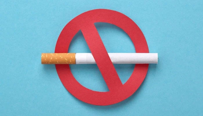 A representational image of a No Smoking warning. — Canva File