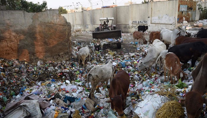 A municipal worker dumps garbage in a residential area in Karachi.   — AFP/File