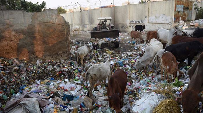 Pakistan’s 49.6m tonnes solid waste termed potential source of energy