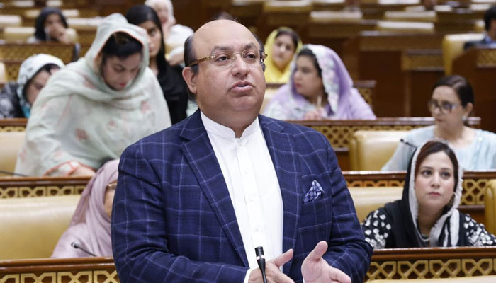 Punjab Finance Minister Mujtaba Shuja-ur-Rehman speaks during the Punjab Assembly session on May 14, 2024. — Facebook/Mujtaba Shuja Ur Rahman