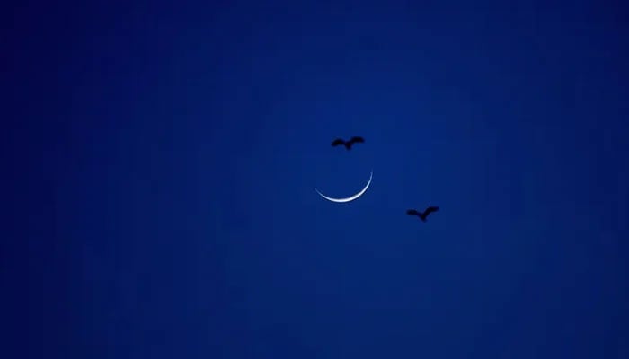 Birds fly next to a crescent moon in Skopje, North Macedonia April 10, 2024. — Reuters