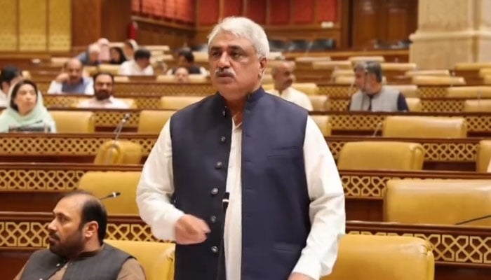 The screenshot shows Health Minister Khawaja Salman Rafique speaking on the floor of Punjab Assembly during the question hour session related to Specialised Health Care on June 7, 2024.  — Facebbook/SalmanRafiquePK