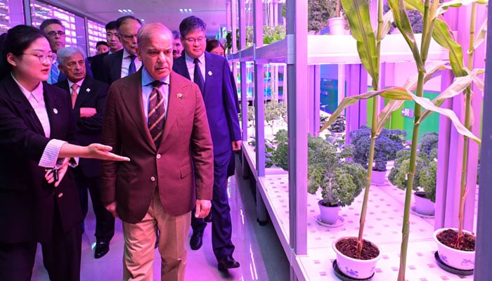 Prime Minister Muhammad Shehbaz Sharif visits Plant Production Factory in Yangling Agricultural Demonstration Base, China on June 8, 2024. — PID