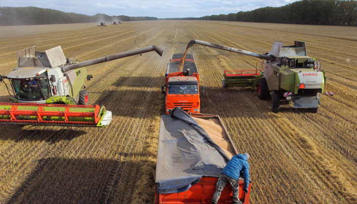 Agricultural workers operate combines and trucks in a field during wheat harvesting near the village of Solyanoye in the Omsk region, Russia September 8, 2022. — Reuters