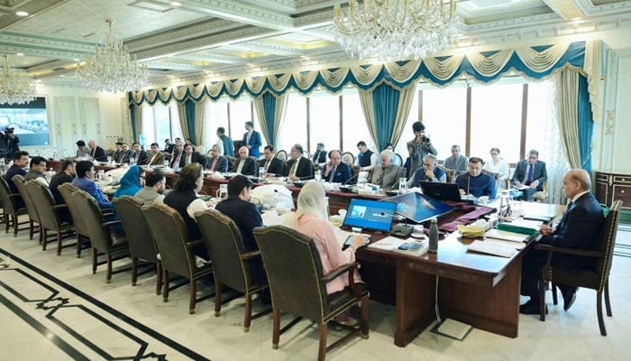 Prime Minister Shehbaz Sharif chairs the NEC meeting on June 10, 2024. — APP