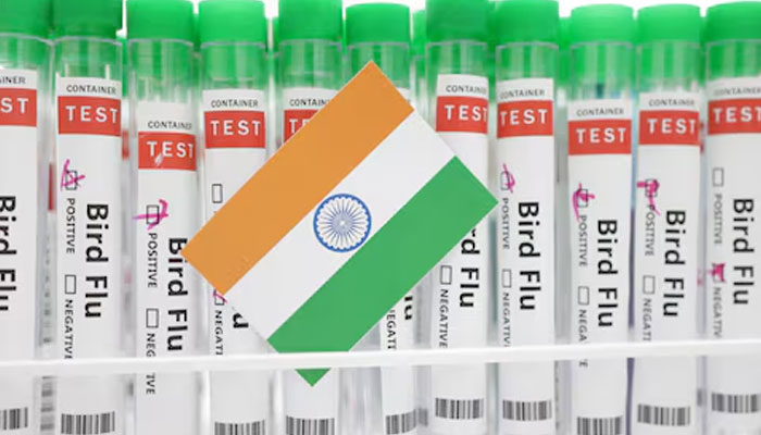 Test tubes labelled Bird Flu and a piece of paper in the colours of the Indian national flag are seen in this picture illustration, January 14, 2023. — Reuters