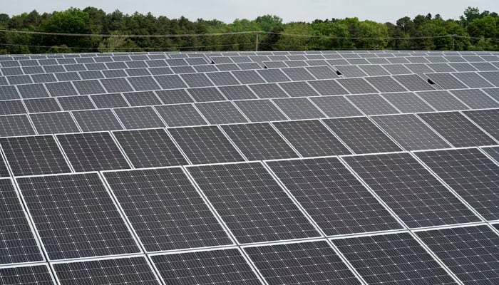 A representational image of solar panels at a renewable energy farm. — Reuters/File