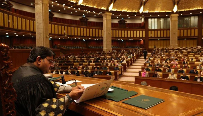 Punjab Assembly Speaker Malik Muhammad Ahmad Khan presides over an assembly session in this undated image. — Facebook/Malik Muhammad Ahmad Khan/File