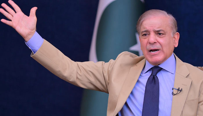 Prime Minister Shehbaz Sharif addresses the nation on June 15, 2024. — PID