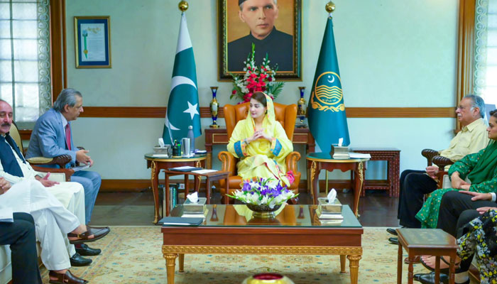 Punjab CM Maryam met a delegation of apex bodies of bar councils on June 15, 2024.  — Facebook/TheMaryamNSharif