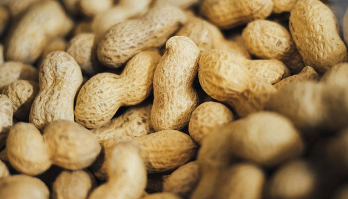 A representational image of peanuts. — Unsplash/File