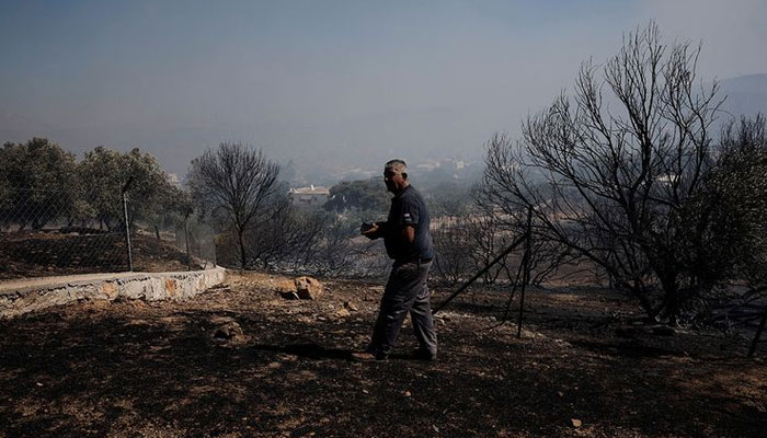 A man walks in an area burned during a wildfire, in Kitsi, near the town of Koropi, Greece. — Reuters/File