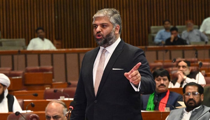 PTI central leader and Deputy Parliamentary Leader in the National Assembly, Zain Hussain Qureshi speaks during an NA session on May 16, 2024. — Facebook/Makhdoom Zain Hussain Qureshi
