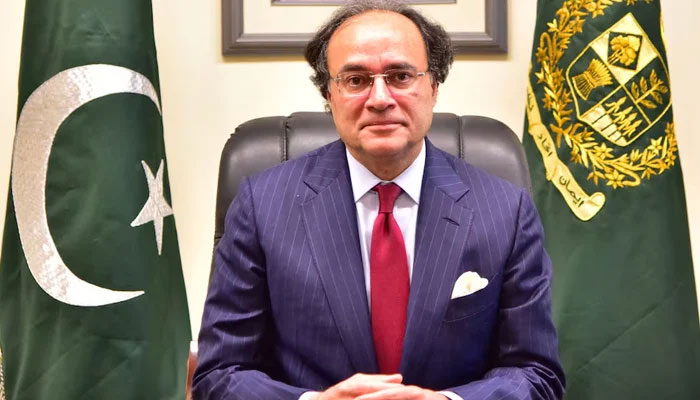 Finance Minister Muhammad Aurangzaib, poses after taking oath in Islamabad, on March 11, 2024. — Ministry of Finance