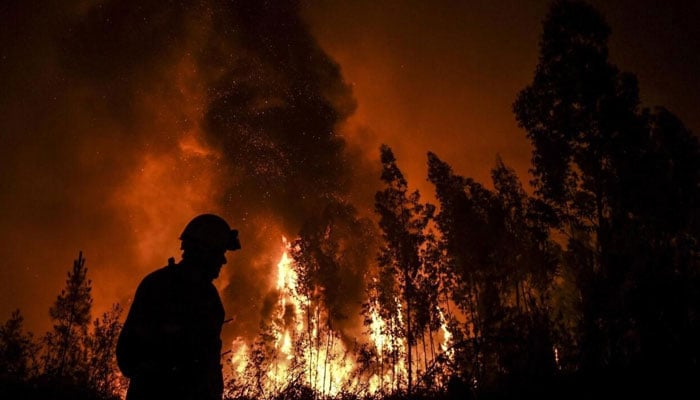 This representational image of a forest fire. — AFP/File
