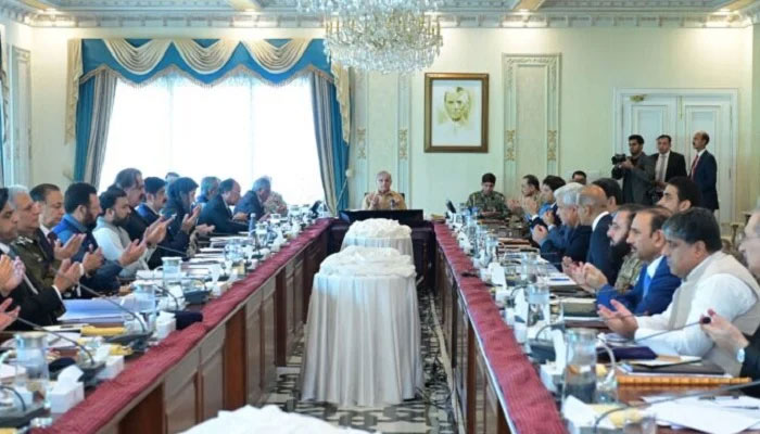 Prime Minister Shehbaz Sharif chairs the meeting of Central Apex Committee of National Action Plan on June 22, 2024. — APP