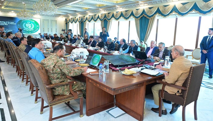 Prime Minister Shehbaz Sharif chairs a meeting of the central apex committee on the National Action Plan (NAP) on June 22, 2024. — PID