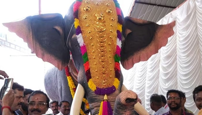 Life-size mechanical elephant donated by ETA India to Kerala temple. — PETA India