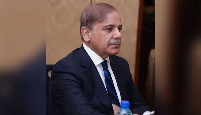 Prime Minister Shehbaz Sharif seen in this undated image. — X/@pmln_org/File