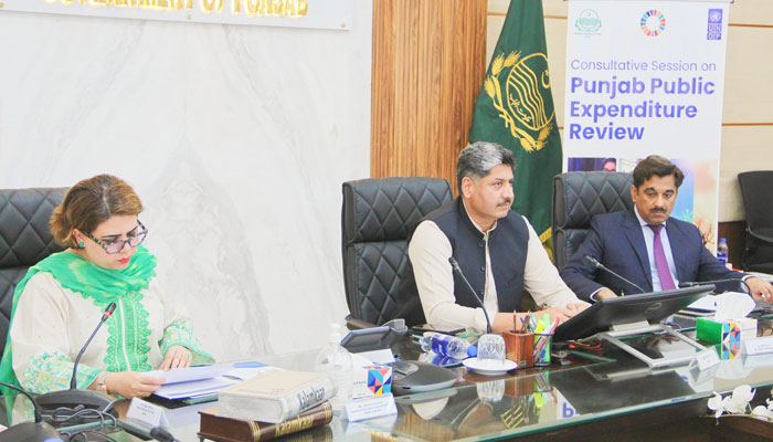 P&D Board Secretary Dr Asif Tufail (C) and Assistant Resident Representative UNDP Pak, Ms Ammara  Durrani (L) attend a session on the Punjab Public Expenditure Review on June 25, 2024. — X/@PnD_Punjab