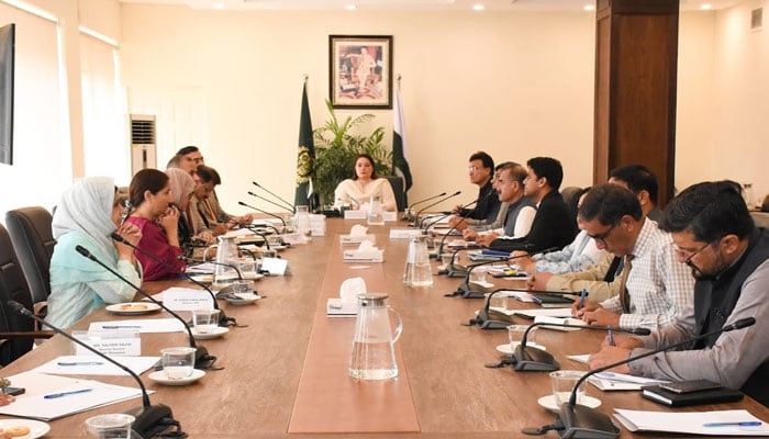 Coordinator to PM on Climate Change and Environmental Coordination chaired a meeting of task force on global warming and heat waves on June 28, 2024. — Instagram/ministryofclimatepk