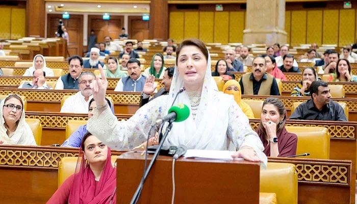 Punjab CM Maryam Nawaz addresses the budget session at Punjab Assembly on June 28, 2024. — NNI