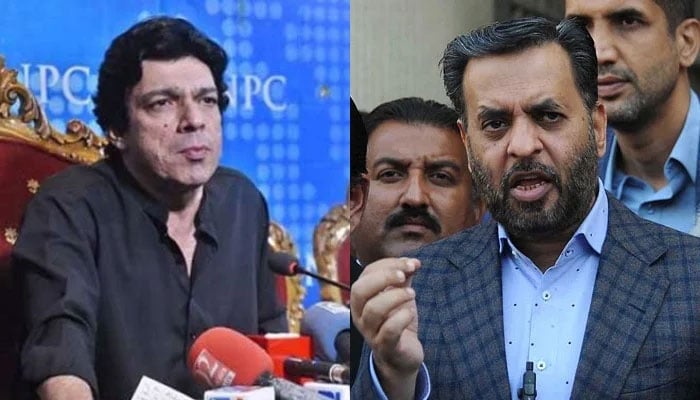 Independent Senator Faisal Vawda and Muttahida Qaumi Movement-Pakistans (MQM-P) lawmaker Mustafa Kamal. — APP/INP/File