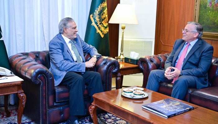 Deputy PM Foreign Minister Senator Ishaq Dar meets US Ambassador to Pakistan Donald Blome in this image released on June 28, 2024. — X@ForeignOfficePk