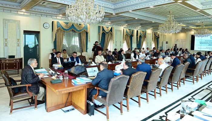 Deputy Prime Minister and Foreign Minister Senator Muhammad Ishaq Dar chairs the meeting the Executive Committee of National Economic Council (ECNEC) on June 29, 2024. — PID