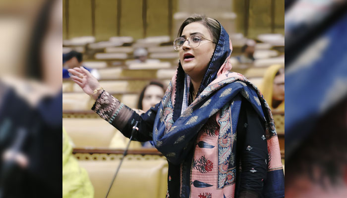 Punjab Minister for Information and Culture Azma Bokhari addresses the assembly members in the Punjab Assembly session on June 29, 2024. — Facebook/Azma Bokhari