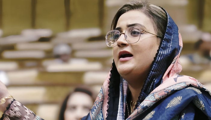 Punjab Information Minister Azma Bokhari is seen speaking in the Punjab Assembly in this image released on June 29, 2024. — Facebook/AzmaBokhariPMLN/File