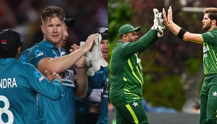 New Zealand (left) and Pakistan (right) team players seen in this collage.— NZ Cricket/PCB/file