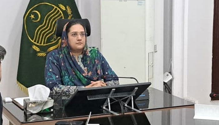 Lahore Deputy Commissioner and MCL Administrator Raffia Haider chairs a meeting in this image on May 4, 2024. — Facebook/Deputy Commissioner Lahore - District Administration Lahore