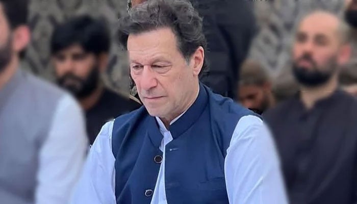 PTI Founder Imran Khan. — Instagram/imrankhan.pti/file