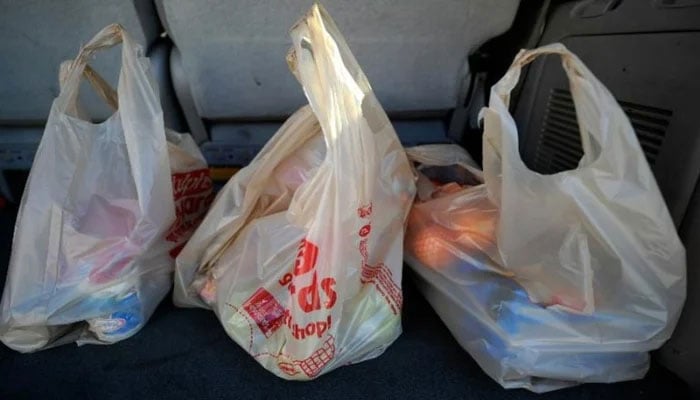 This representational image shows plastic bags. — AFP/File