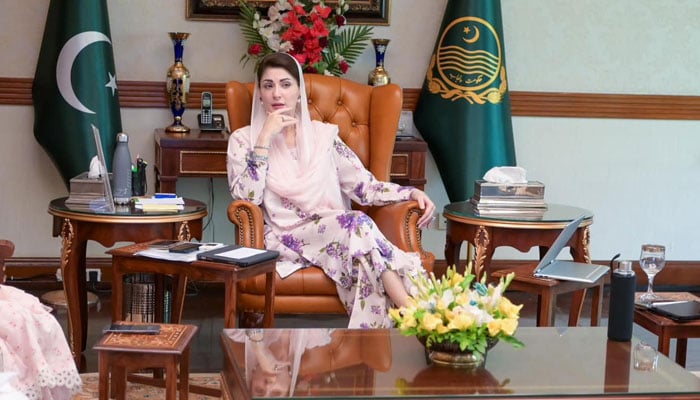 Punjab Chief Minister Maryam Nawaz chairs a meeting on July 6, 2024. — Facebook/Maryamazing